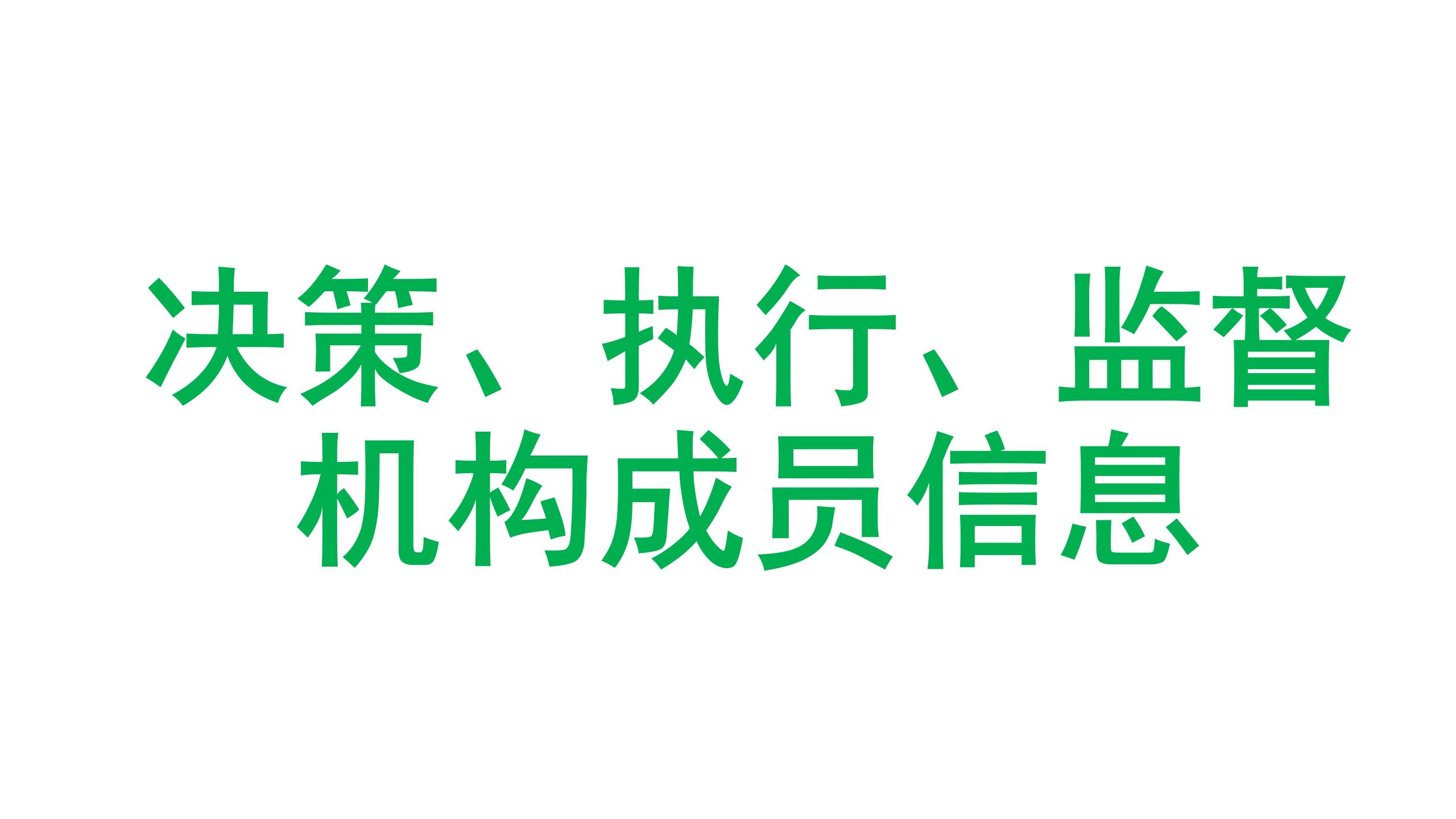 2023年龙祥社工决策、执行、监督机构成员信息