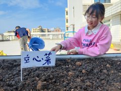坪东社区鹏城小农夫“一米菜园”建设 青少年社会实践活动