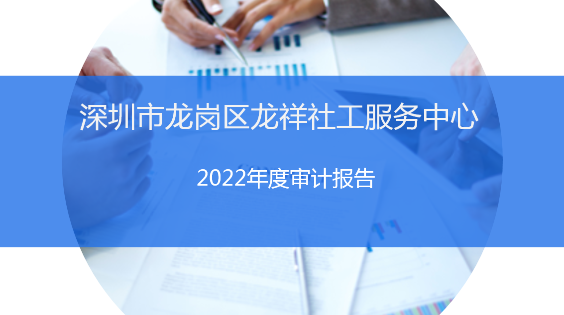 龙祥社工2022年度财务审计报告