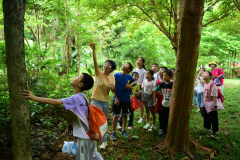 四联社区|亲子自然科普教育活动--野地上的花园之滚滚历险记